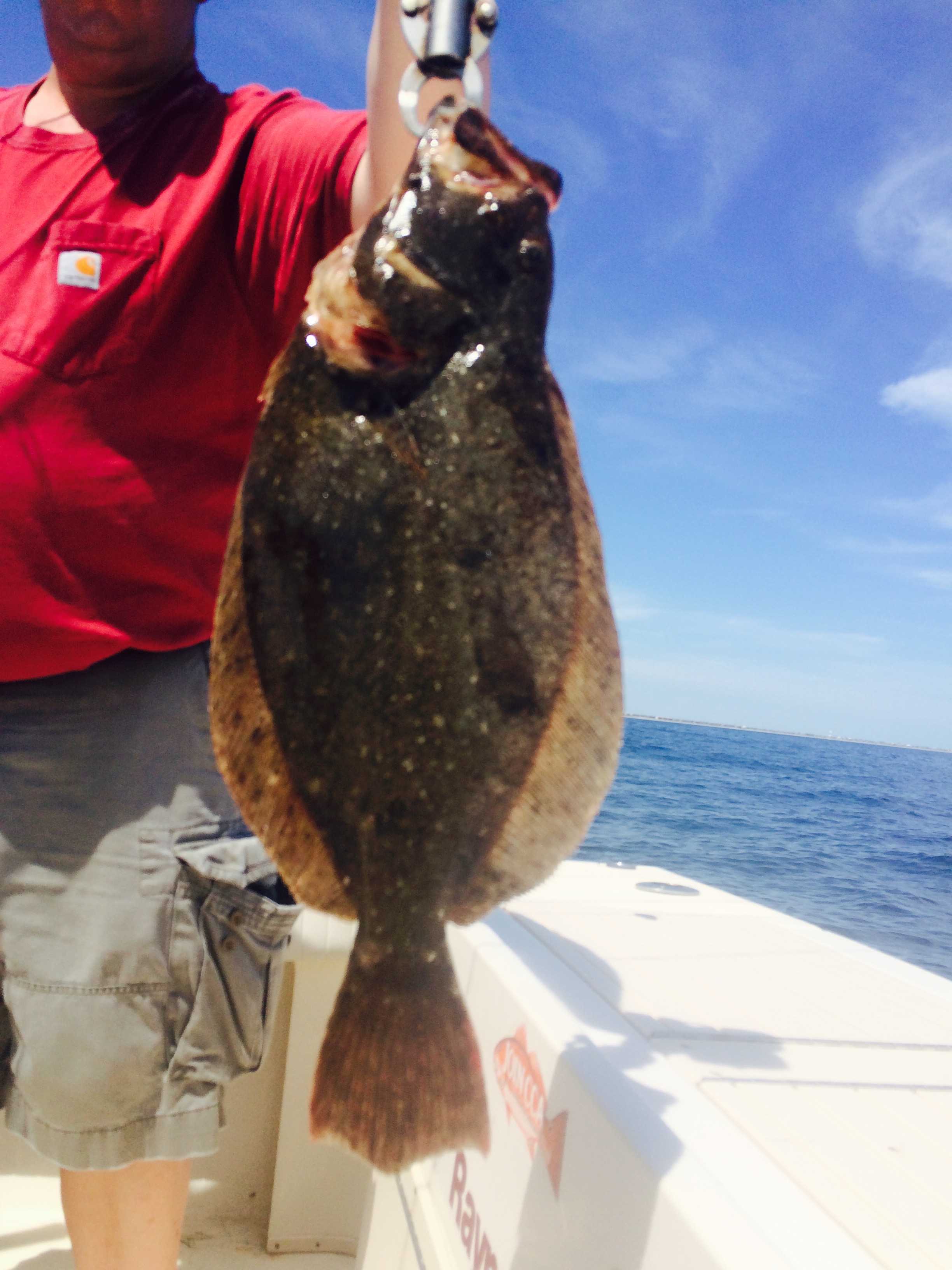 Gulf Flounder, thoughts on Southern Flounder and Management Options. –  WaterDog Guide Service